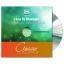 How to Maintain Prophetic Momentum - CD